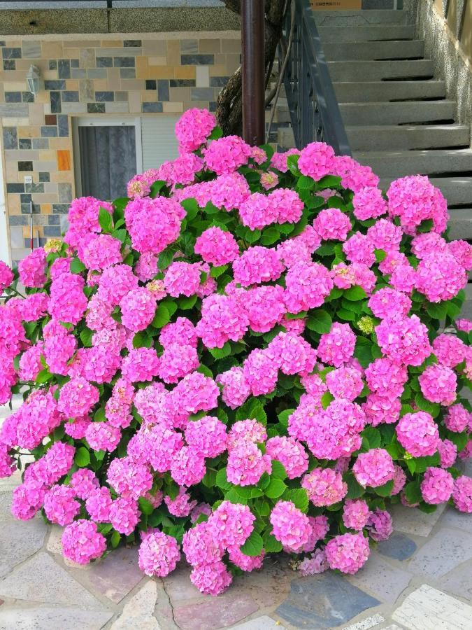 Apartments Branka อิกา ภายนอก รูปภาพ